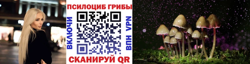 цена наркотик Петровск-Забайкальский Псилоцибиновые грибы мухоморы